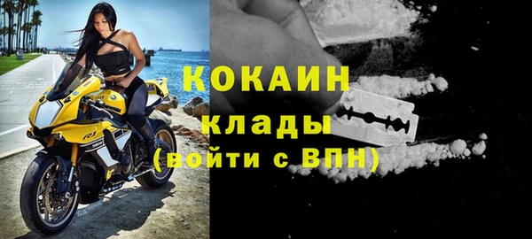 стафф Арсеньев
