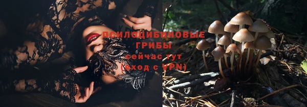 apvp Армянск